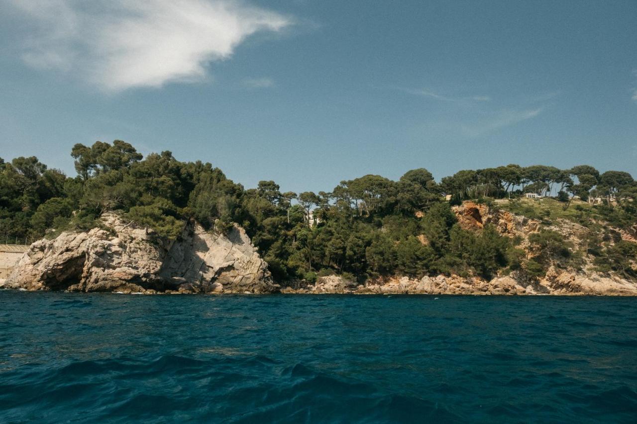 Exclusive Waterfront Villa - Cote Dazur Le Pradet Exterior photo